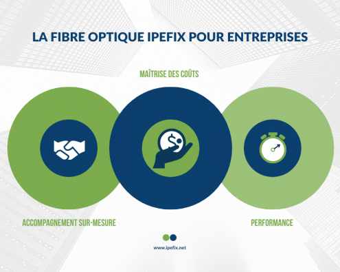 IPEFIX, La relation client comme facteur clé de différenciation sur le marché des télécoms